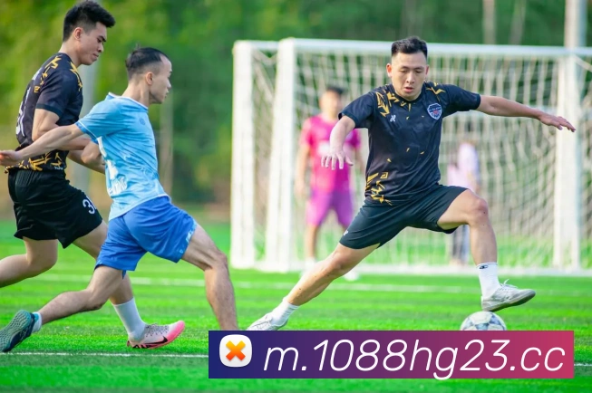 皇冠官网平台服务体系